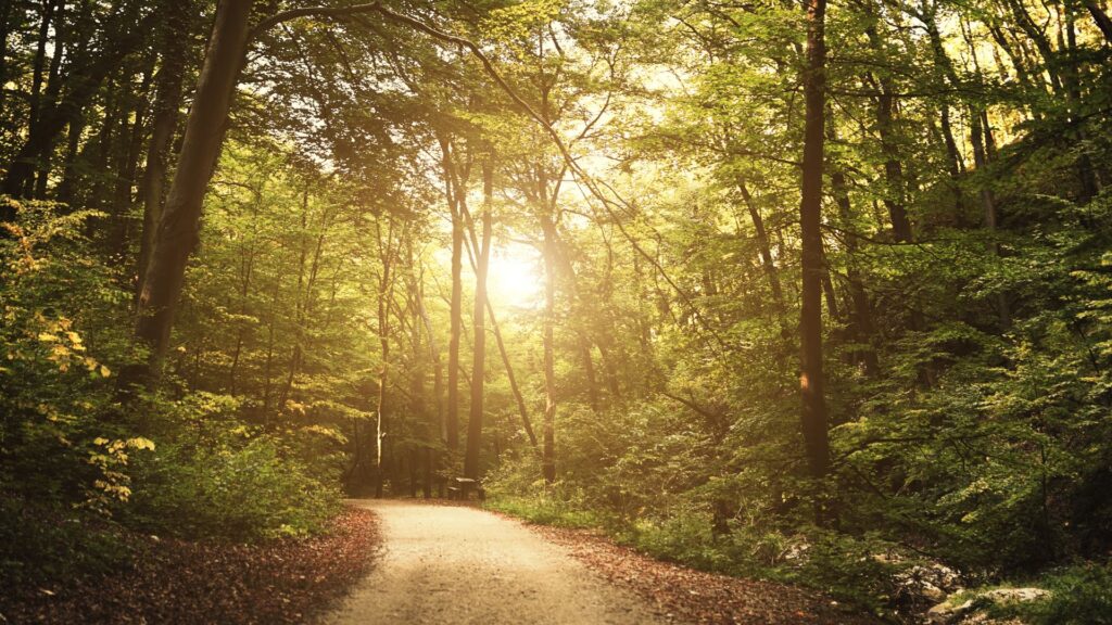 Caroline Peruffo Soares Psicóloga em Paulínia